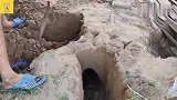 土狗妈妈带着小狗住在地洞，没食物吃肚子很饿，幸亏有人搭救