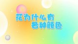 花为什么有各种颜色,兔小贝十万个为什么