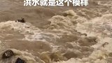 假如时光可以倒流，洪水就是这个模样。
