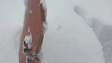 大雪后市民用木锨清理车辆上的积雪