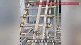 男子走路看手机摔下台阶不幸身亡，家属向施工方及物业索赔115万，法院判了