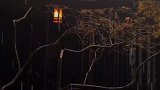 一场秋雨，一场寒。