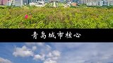 深圳vs青岛，两座同样迷人又肩负特殊使命的城市