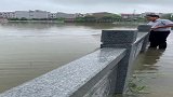 这么大的鱼，竟然自投罗网，好傻！