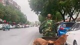 大叔骑车带狗子兜风，车上的小狗发力