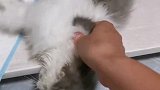 我想消失一段日子