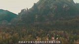 宇宙中会不会存在像行星一样大的生命体