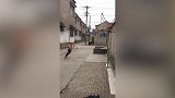 一顿操作猛如虎一看篮筐一米五?就用这个你行吗?