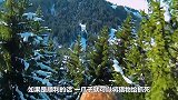 金雕俯冲而下捕捉山羊，怎料反被山羊反击，一路跌落山崖！