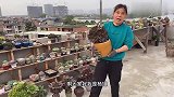 杨姐给她的法师一个新架子，想法合理，摆上法师，看着赏心悦目！
