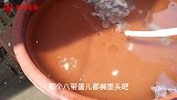 腥鱼烂虾，下饭的冤家，这就是渔村家常饭，今天八爪鱼熬倭瓜