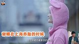 网传谢娜二胎其实是儿子！张杰回归开演唱会，打乒乓球心情大好