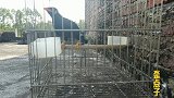 八哥饿了不拿食物来还说等下你着打