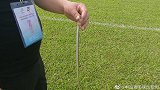 青运会U14比赛有蛇出没？盘点球场上最搞笑的不速之客