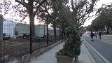 假扮草人故意向路人伸手，导致胆小的人大叫起来