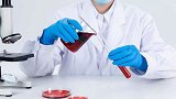 日本成功研发人造血液：适合任何血型 可保存一年以上