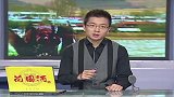 野生东北虎惊现村庄，专家组织队伍，连夜寻找其踪迹
