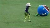 综合-17年-新晋蠢萌网红 日本棒球队吉祥物迷之变形-专题