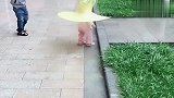 下雨天，恬宝出来“视察”了，好可爱！