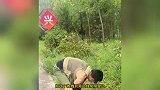 狗狗被撞死遭反复碾压，夫妻掩埋后发现汽车漏一地油：很容易起火