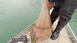 这么难捕捞的“将军鱼”，必须要“鱼王”出手才可以！
