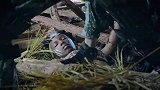 蓝盔特战队第25集(预告)