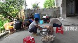一大盆野生鸡枞菌，土鸡土鸭混合炖了一大锅，网友们吃得津津有味