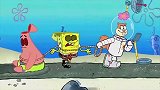 海绵宝宝：海绵宝宝和派大星遇到难题了，找珊迪来帮忙