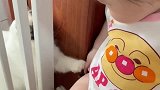 萌娃和喵星人的搞笑互动！