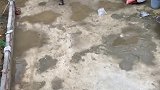 婆婆又喊吃饭了
