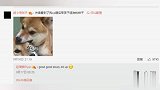 赵琦君的魅力有多大，杨凯雯采访聊赵琦君，变迷妹大赞太帅了
