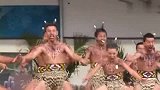旅游-新西兰毛利战舞  我和我的小伙伴都惊呆了