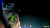 风雨交加的夜晚，正是深海巨鳗觅食的时候，一条条被擒获太刺激了