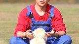 第十八集 你的狗狗胆子小吗？关爱流浪犬 流浪犬  星探家