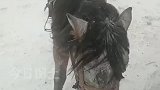 新疆阿勒泰连降暴雪，积雪达马背高度，牧民艰难转场