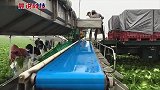 用了这么多年的手机，你知道wifi是谁发明的吗
