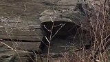 爷们，无论哭笑皆是晴天