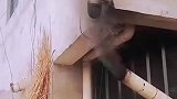 监控下放烟囱，天网恢恢，熏而不漏