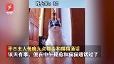 通宵等一个电话！猫咪一早泪眼婆娑委屈巴巴，主人调监控惊呼出声