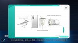 灵感来自金眶鸻和尼康镜头？荣耀30S设计图曝光