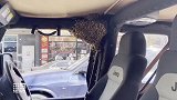 澳大利亚：男子进杂货店10分钟后返回，发现车内被一群蜜蜂占领