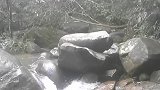 一块会“吃人”的石头，可以把人吃进去再吐出来，你敢挑战吗