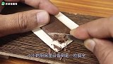 世界上最迷你的焦糖布丁，大厨一刀切开后，一口能吃100个