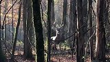 开眼界了，这才是真生气   (点头像进来更精彩)