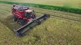 为啥美国不担心粮食安全，大型收割机效率非常高，保障民众粮食