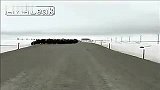 旅游-牛犊与熊搏斗悲壮一幕