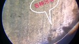 长长的指甲肉眼看似干净，实则藏污纳垢