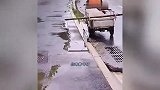 扫路神操作