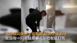 【广东】男子在酒店睡觉称被老鼠咬醒 商家：有计划地讹诈
