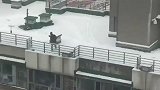 不能出门憋得不行！大雪天小区居民天台上滑起了雪 太会玩了